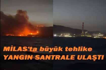 Milas Belediye Başkanı Av. Muhammet Tokat; 'yangın termik santrale ulaştı'