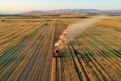 Tarımsal girdi fiyatları yüzde 18,52 arttı