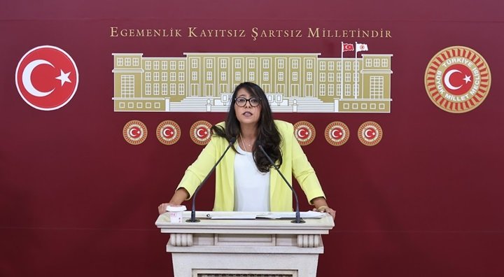 Türkiye İşçi Partisi (TİP) İstanbul Milletvekili Sera Kadıgil, '146 işçi geri alınana kadar kimse Polonez ürünü almasın'