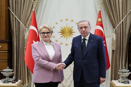 Erdoğan, İYİ Parti eski Genel Başkanı Akşener'i kabul etti