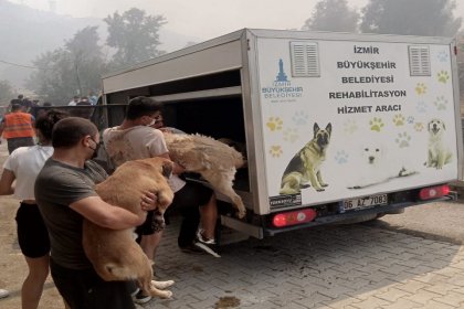 İzmir Karşıyaka'da yangın rüzgarın şiddeti nedeniyle yerleşim alanlarına sıçradı; Evler tahliye ediliyor, Bölgedeki Sokak Hayvanları Sosyal Yaşam Kampüsüne taşınıyor!