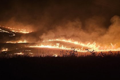 Mardin ve Diyarbakır arasındaki kırsal alanda anız yangını çıktı; 11 kişi öldü, 5 kişi entübe edildi!