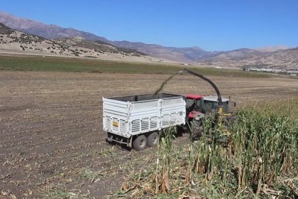 TÜİK: Tarım ürünleri üretici fiyat endeksi yıllık yüzde 31,09, aylık yüzde 2 arttı