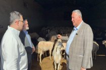 Kurbanlık fiyatlarımız 23 bin TL’den başlıyor