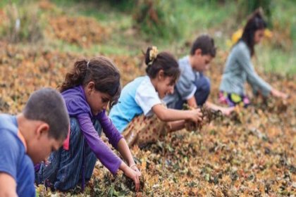 2024 yılında Türkiye nüfusunun yüzde 25,5'ini çocuk nüfus oluşturdu