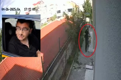Sahiplendiği köpekleri evde parçalayıp öldüren doktor tutuklandı